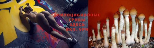 герыч Коряжма