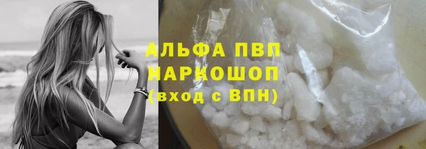 сатива Волоколамск