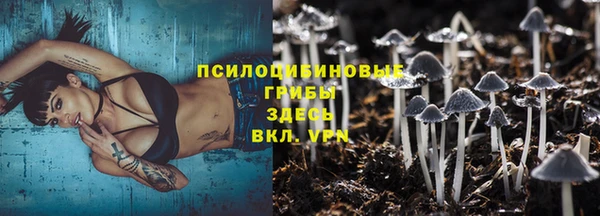 сатива Волоколамск