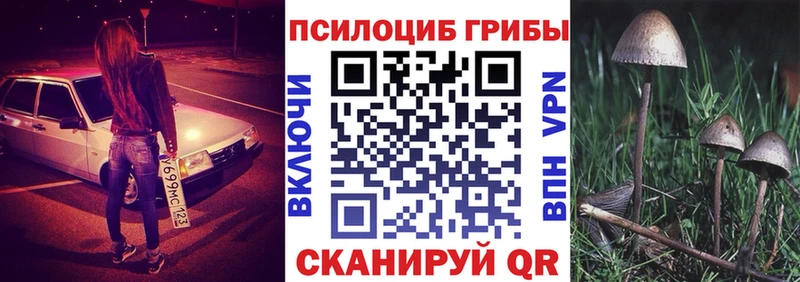 Галлюциногенные грибы Magic Shrooms Павлово
